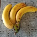 가래떡과 바나나하나로 아침먹음 울 쌤이 사오신 햄'참치 선물셋트당. 이미지