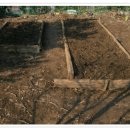 혁이농장 이미지