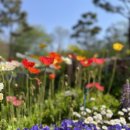 백인의 밥상 이미지