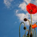 의신 베어빌리지 이미지