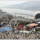 매화나랑