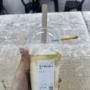예은 | 사실 난 공주고 일은 취미