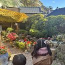 근수민박 이미지