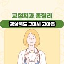 경상북도 구미시 고아읍 교정치과 총정리