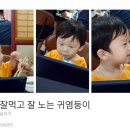 약초를사랑한짱아줌마 이미지