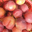 고래골농장 이미지