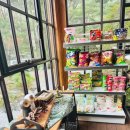 무릉도원면-7 이미지