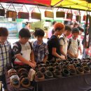 왕미초등학교 이미지