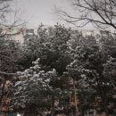 월드하우스 | [무주여행 1박2일] 가족여행 덕유산 무주리조트 스키장