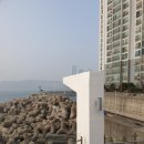 드림독 강아지분양 안심분양센터 김포점 이미지