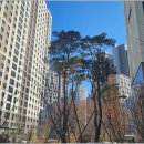 고산공인중개사사무소 이미지