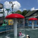 오즈키즈워터파크 | 취사가능 오즈키즈워터파크 후기