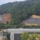 꿀벌태양광발전소 이미지