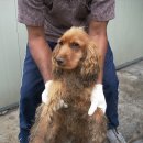 신성세차장 이미지