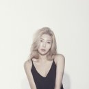 자이언트 티브이데일리