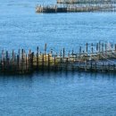 지족 죽방렴홍보관 이미지