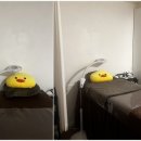 바른왁싱 노원점