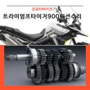 타이거모터스 | 트라이엄프 타이거900 GT 프로 엔진·미션 수리 후기