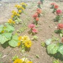 엠제이골프아카데미(실외) 이미지