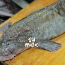 맛터식당 이미지