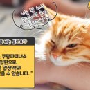 (주)도투락식품 이미지