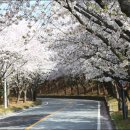 파미힐스 컨트리클럽 이미지