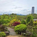 한밭수목원 이미지