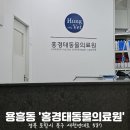 홍경태동물의료원 이미지