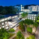 뿌리 철학A 이미지