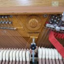 김해구지초등학교 이미지