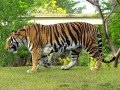 러쉬포유4