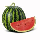 2025년 7월 20일 동부산악회 정기산행 (남원 지리산 1둘레길 구룡계곡 트레킹) 이미지