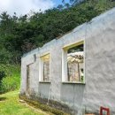 그대로 그렇게 이미지