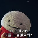모하지스튜디오