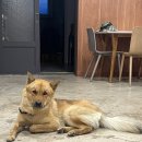 안녕 멈머야 이미지