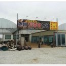 현대농장(3) 이미지