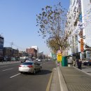 2층17호