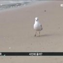 프란 - 노원구 동일로182길 17 | 프란
