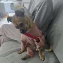 연화경로당 이미지