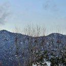 과천동행정복지센터 이미지