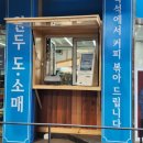 일레체 이미지