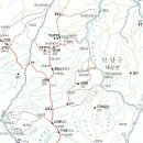황*정