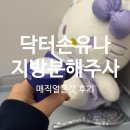 닥터정앤박날씬의원 | 닥터손유나의원 지방분해주사 매직얼굴캣 후기