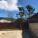 안동영가찜닭 이미지