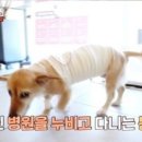 봉희농장 이미지