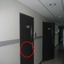 (주)해강인터내셔날 네이버블로그