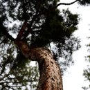 벌랏한지마을 이미지