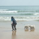 지웅농장 이미지