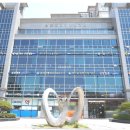 자이안약국 티스토리
