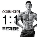 린바디짐